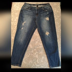 Size 18 Boyfriend Jean Lane Bryant